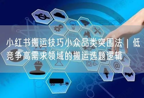 小红书搬运技巧小众品类突围法｜低竞争高需