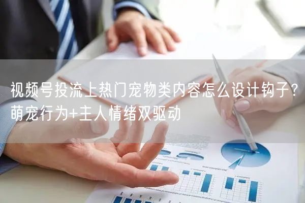 视频号投流上热门宠物类内容怎么设计钩子？