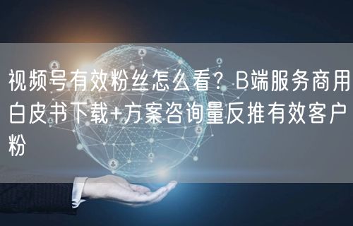 视频号有效粉丝怎么看？B端服务商用白皮书